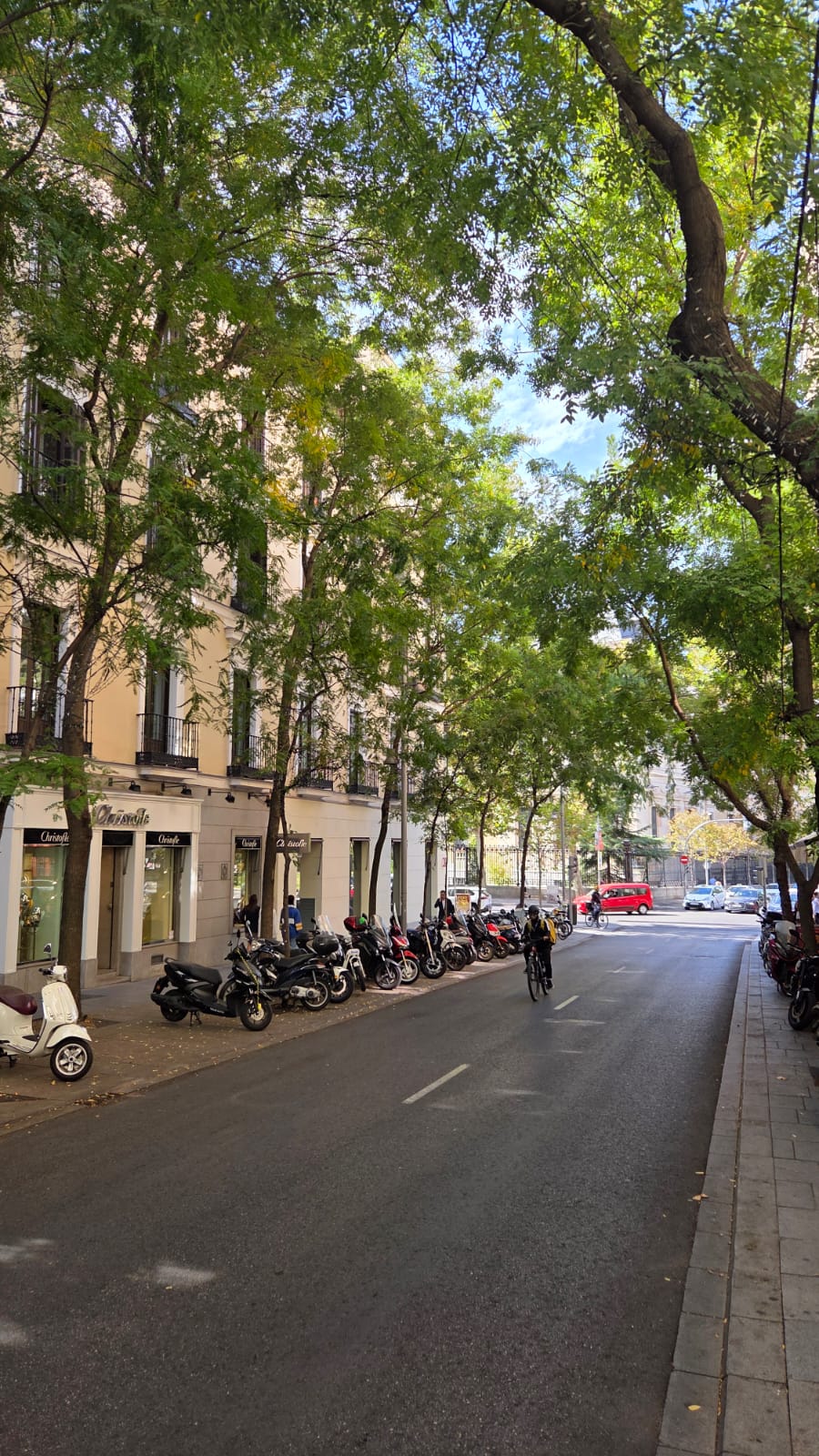 Calle residencial en Madrid en invierno con luz suave y ambiente tranquilo